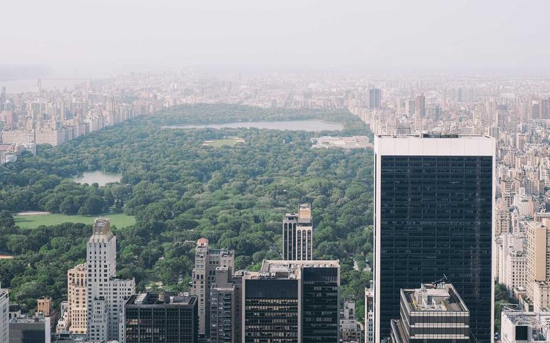 Eco-Friendly Materials 101: Recycled, Organic, and Sustainable Options