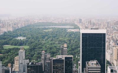 Eco-Friendly Materials 101: Recycled, Organic, and Sustainable Options